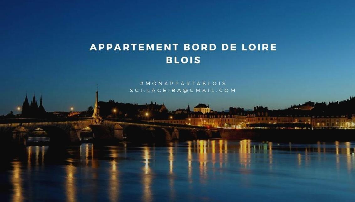Duplex 60 M2 Bord De Loire Leilighet Blois Eksteriør bilde