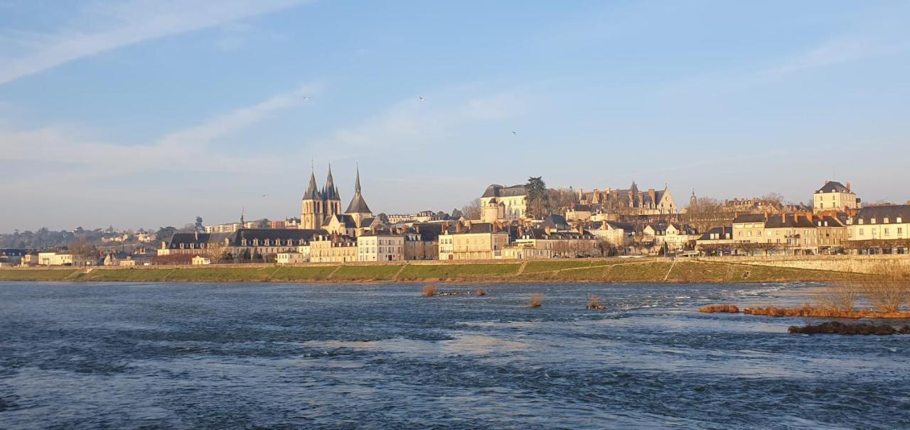 Duplex 60 M2 Bord De Loire Leilighet Blois Eksteriør bilde
