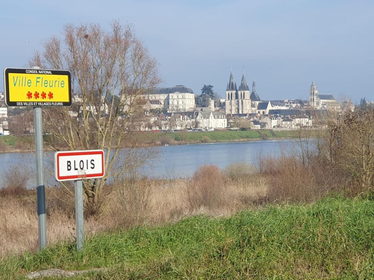 Duplex 60 M2 Bord De Loire Leilighet Blois Eksteriør bilde